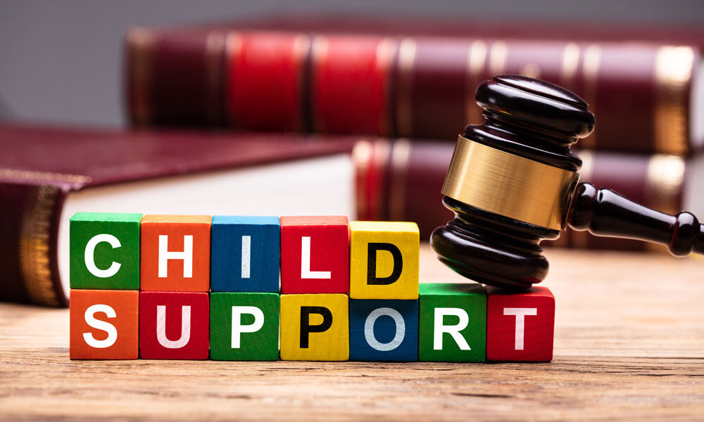 An Overview of Child Support Custody Issues And The Laws Involved